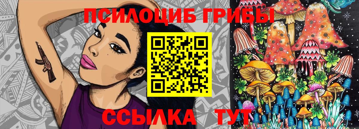 Псилоцибиновые грибы GOLDEN TEACHER Ревда