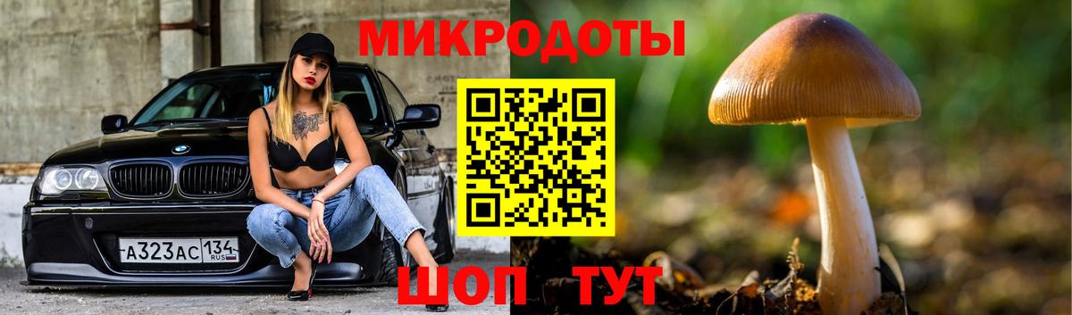 Псилоцибиновые грибы MAGIC MUSHROOMS  как найти закладки  Галлюциногенные грибы MAGIC MUSHROOMS  Ревда  Вход с VPN 