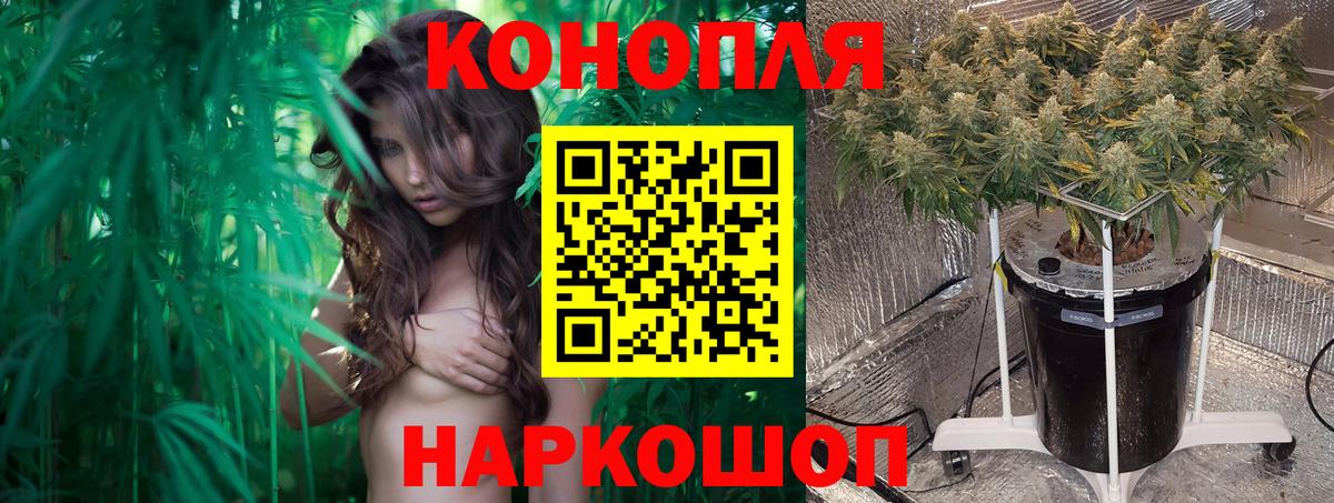 Бошки марихуана семена  Конопля сатива  Ревда  Вход с VPN  Бошки марихуана Ganja  Шишки марихуана LSD WEED 